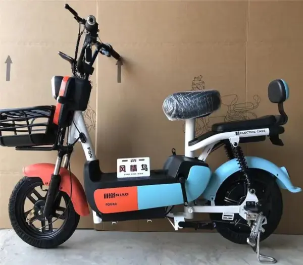 350W Electric Bike