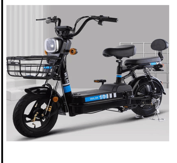 48V Electric Bike