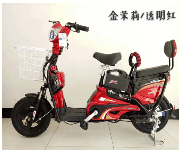 350W Electric Bike