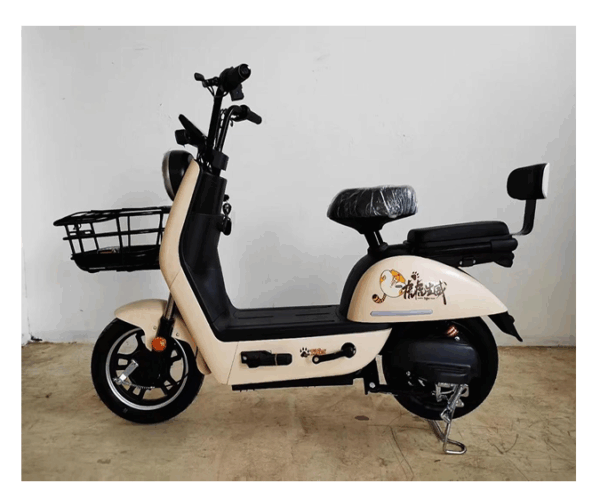 Stylish Electric Scooter