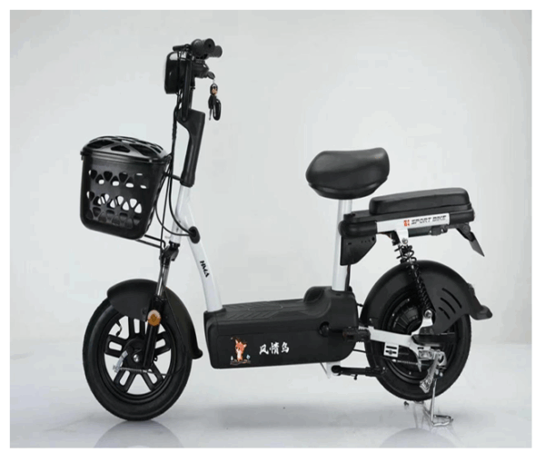 Urban Electric Bike EB-BDD