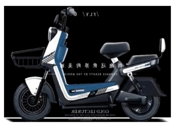 Stylish 350W Electric Scooter