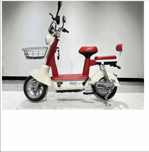 350W Brushless Electric Bike with Anti-Theft Remote