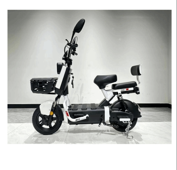 EB-KM Smart E–bike
