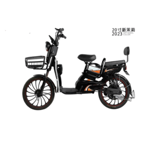 Lightweight E-Bike