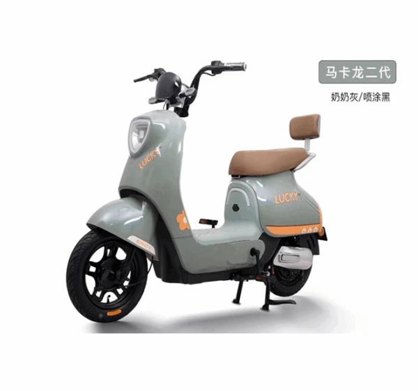 E-Baike for Seniors