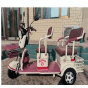 4-Seater Electric Mobility Scooter